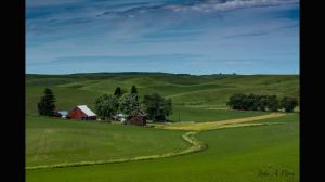 Palouse-12